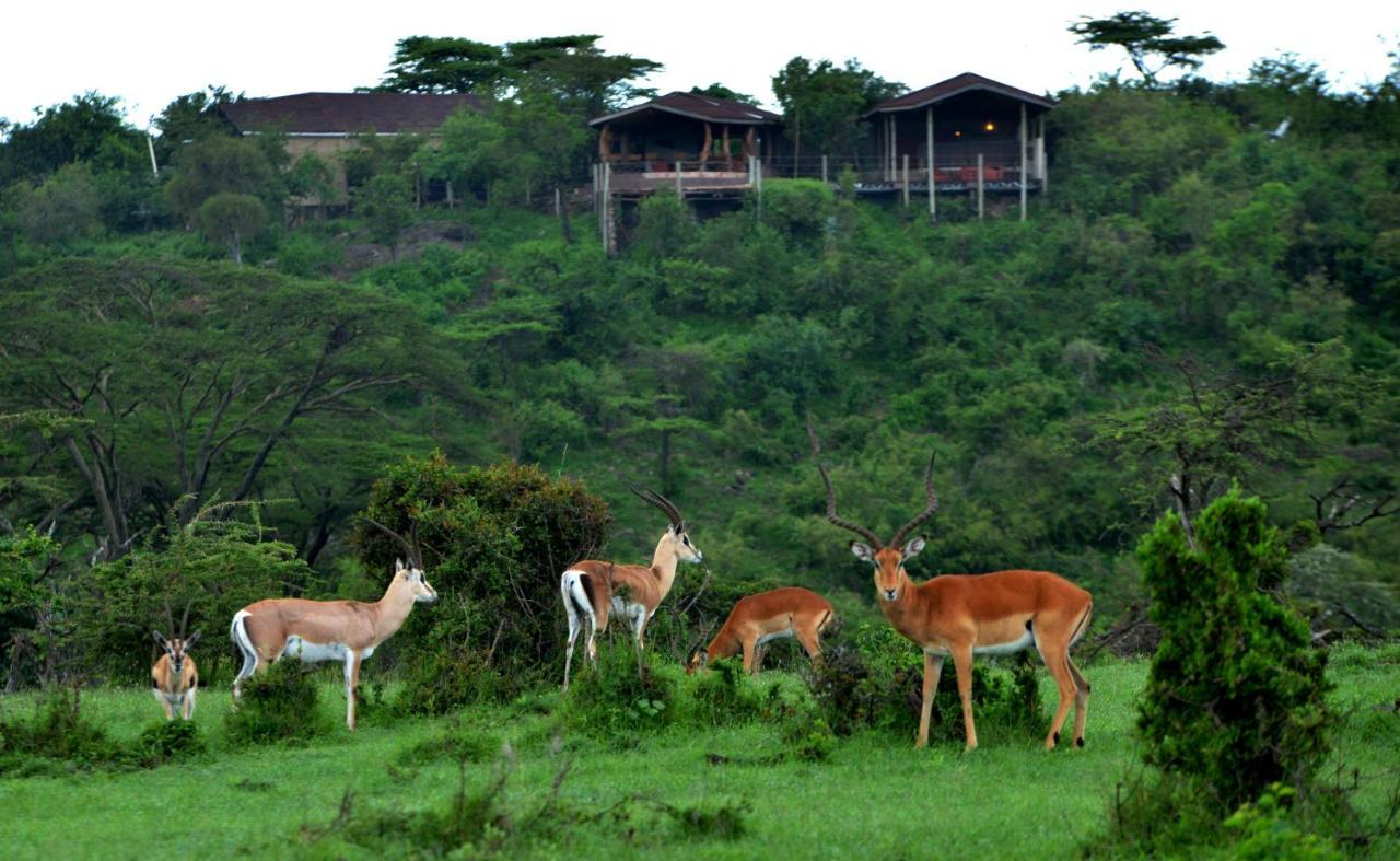Saruni Eagle View Hotel Naboisho Eksteriør billede